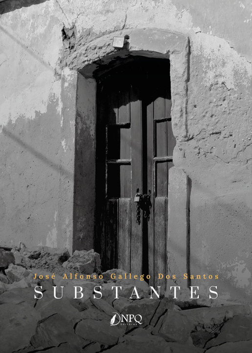 Knjiga SUBSTANTES GALLEGO DOS SANTOS