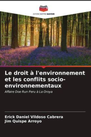 Carte Le droit à l'environnement et les conflits socio-environnementaux Erick Daniel Vildoso Cabrera