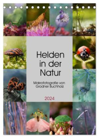 Naptár/Határidőnapló Helden in der Natur (Tischkalender 2024 DIN A5 hoch), CALVENDO Monatskalender Calvendo
