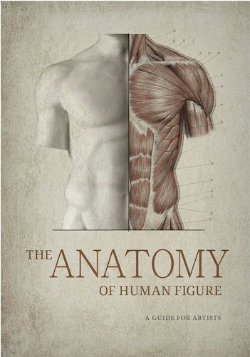Könyv The Anatomy of Human Figure. A Guide for Artists Vladimir Mogilevtsev