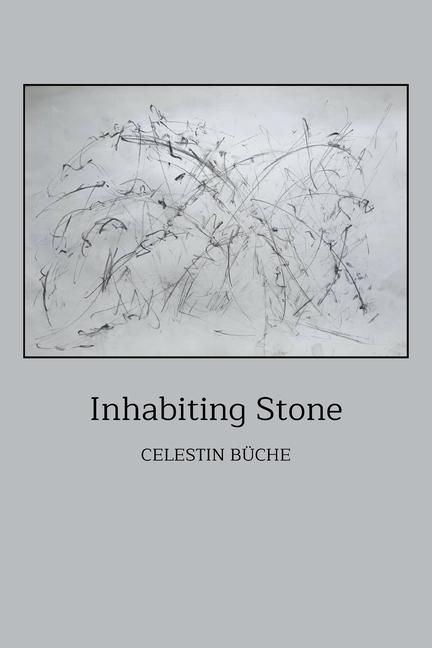 Libro Inhabiting Stone Celestin Büche