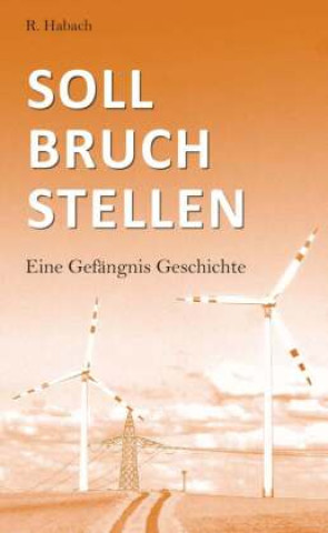 Knjiga Sollbruchstellen R. Habach