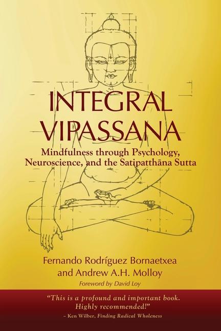 Kniha Integral Vipassana Andrew A. H. Molloy