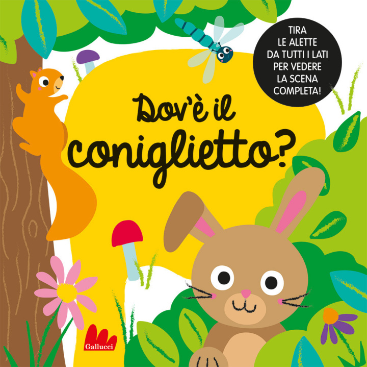 Buch Dov'è il coniglietto? Liza Lewis