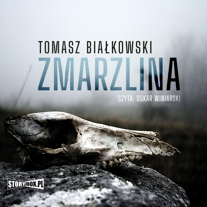Kniha CD Mp3 Zmarzlina Tomasz Białkowski
