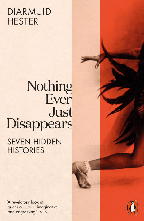 Buch Nothing Ever Just Disappears Diarmuid Hester