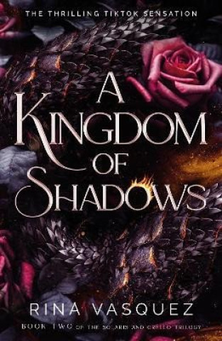 Könyv Kingdom of Shadows Rina Vasquez