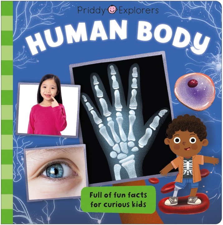 Knjiga Priddy Explorers Human Body Roger Priddy