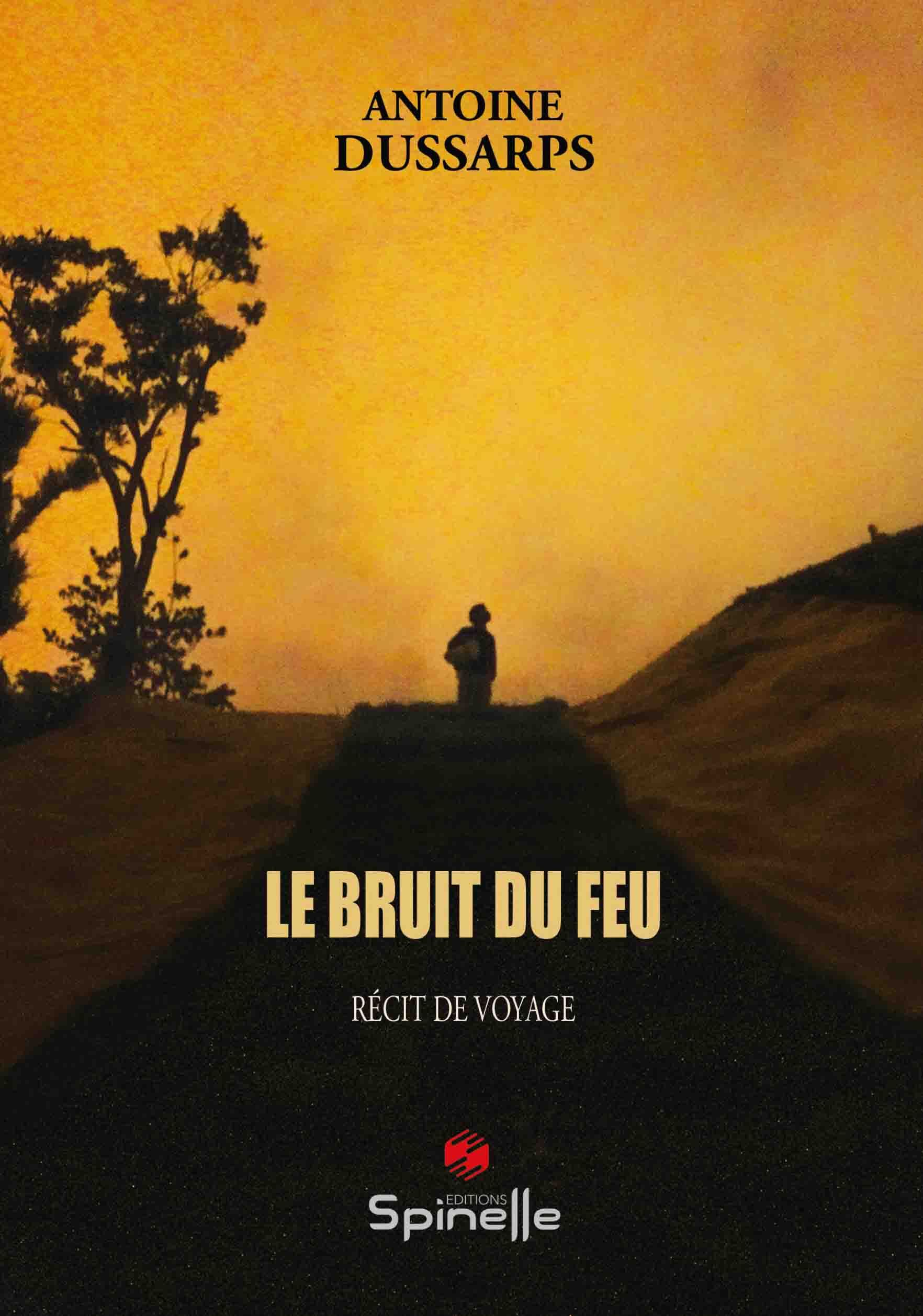 Knjiga Le Bruit du feu Dussarps