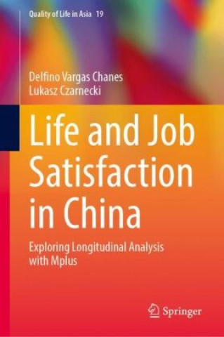 Buch Life and Job Satisfaction in China Delfino Vargas Chanes