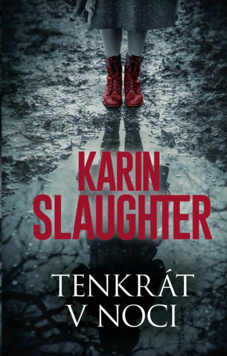 Book Tenkrát v noci Karin Slaughter