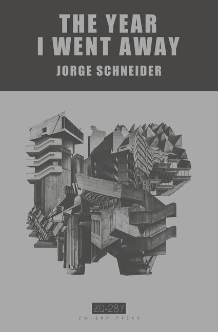 Book The Year I Went Away Jorge Schneider