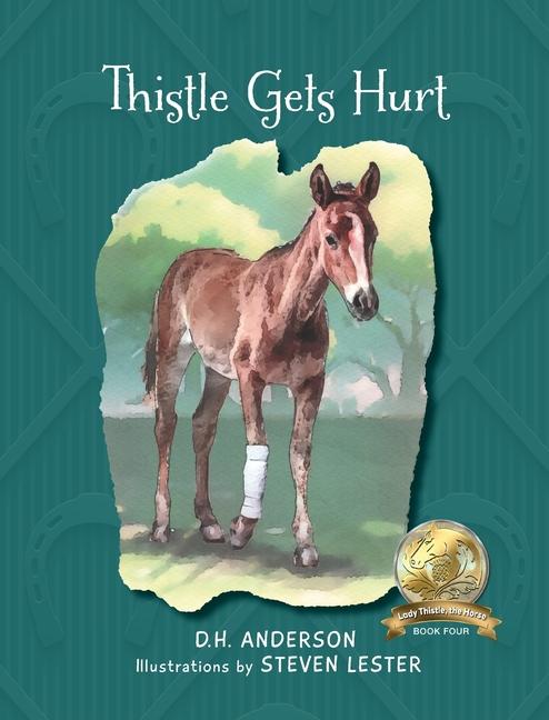 Boek Thistle Gets Hurt D.H. Anderson