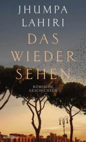 Boek Das Wiedersehen Julika Brandestini