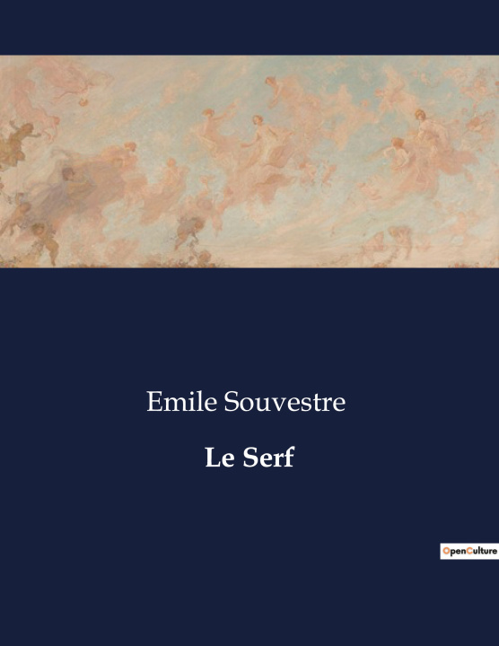 Book Le Serf Souvestre