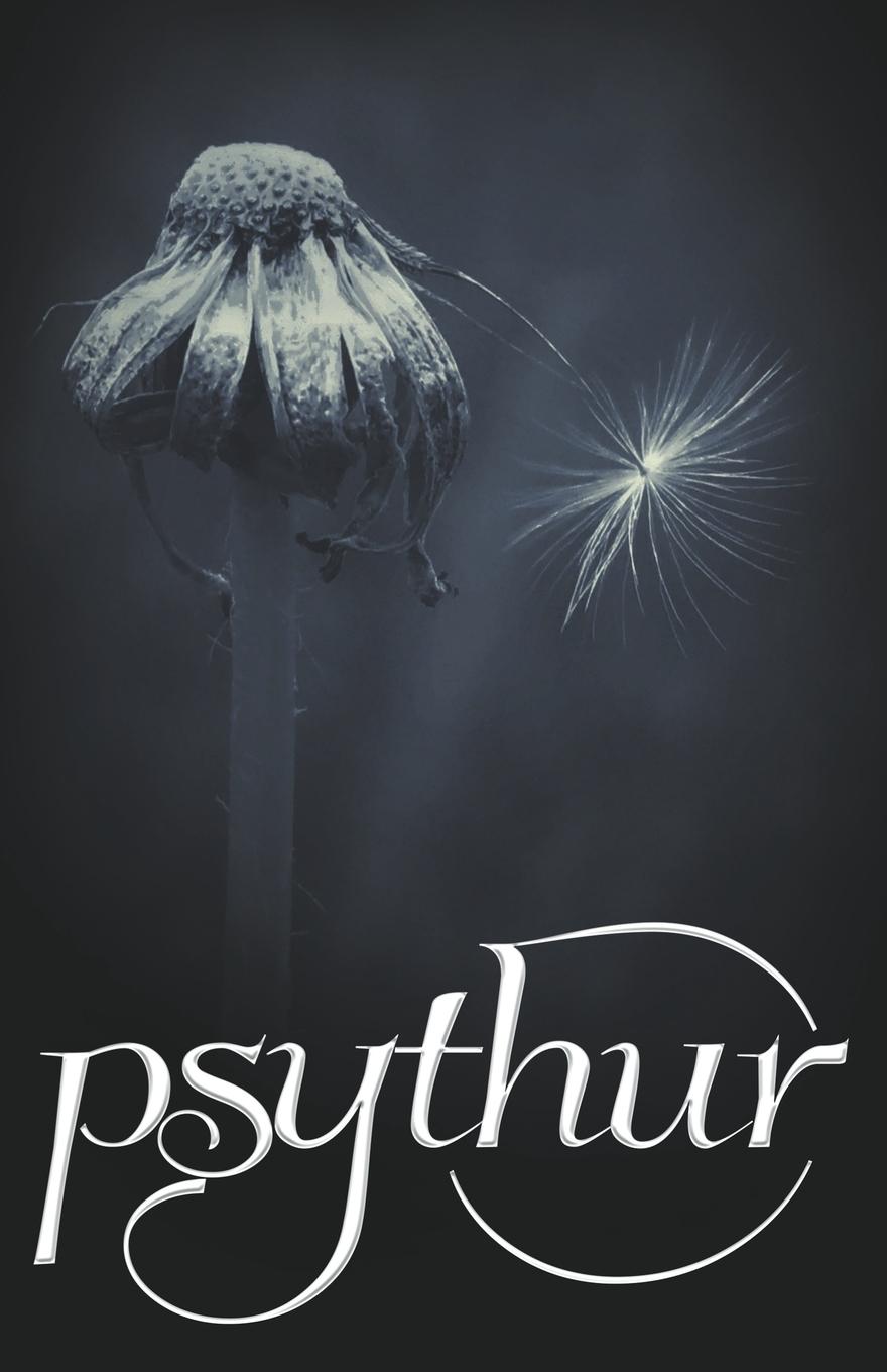 Knjiga Psythur Ravens Quoth Press