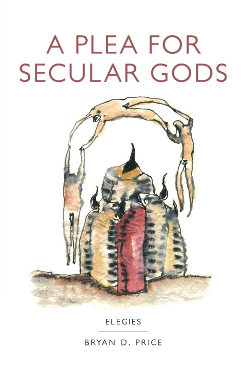 Knjiga A Plea for Secular Gods Bryan Daniel Price