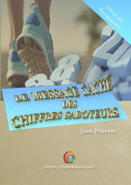 Book Le Message Caché des Saboteurs Pruvost