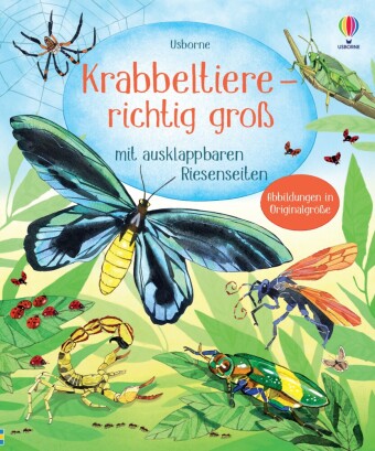 Kniha Krabbeltiere - richtig groß 