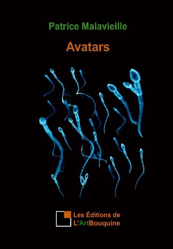 Boek Avatars 