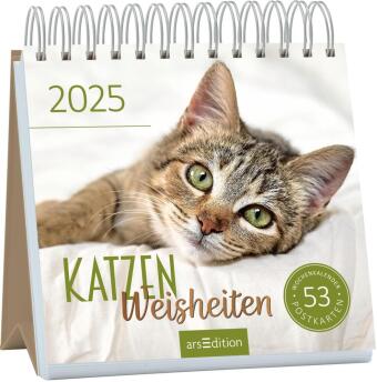 Calendar / Agendă Postkartenkalender Katzenweisheiten 2025 