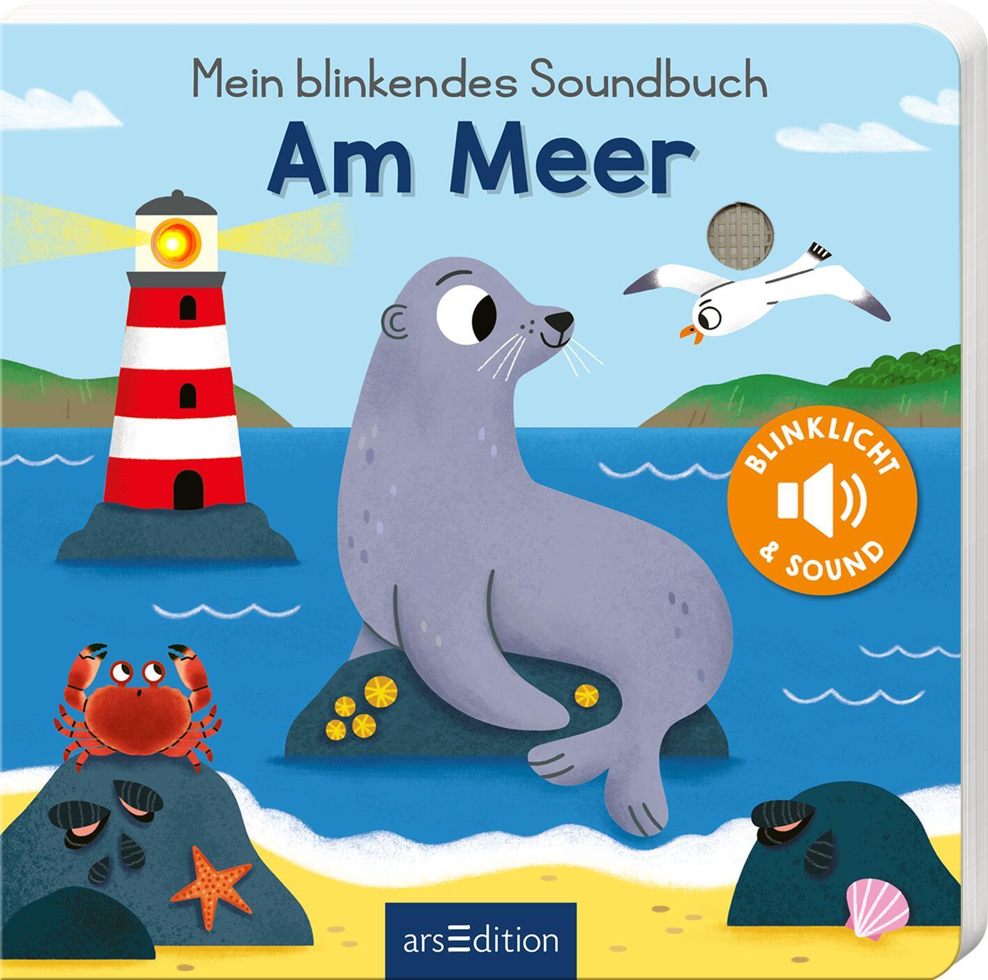Kniha Mein blinkendes Soundbuch - Am Meer Maria Höck