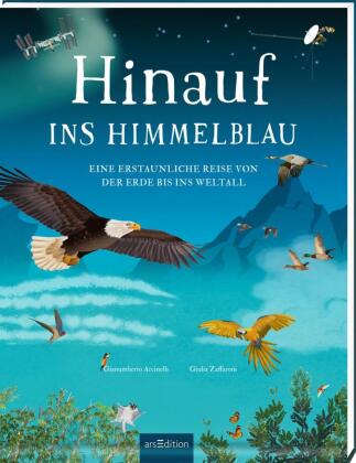 Kniha Hinauf ins Himmelblau Gianumberto Accinelli