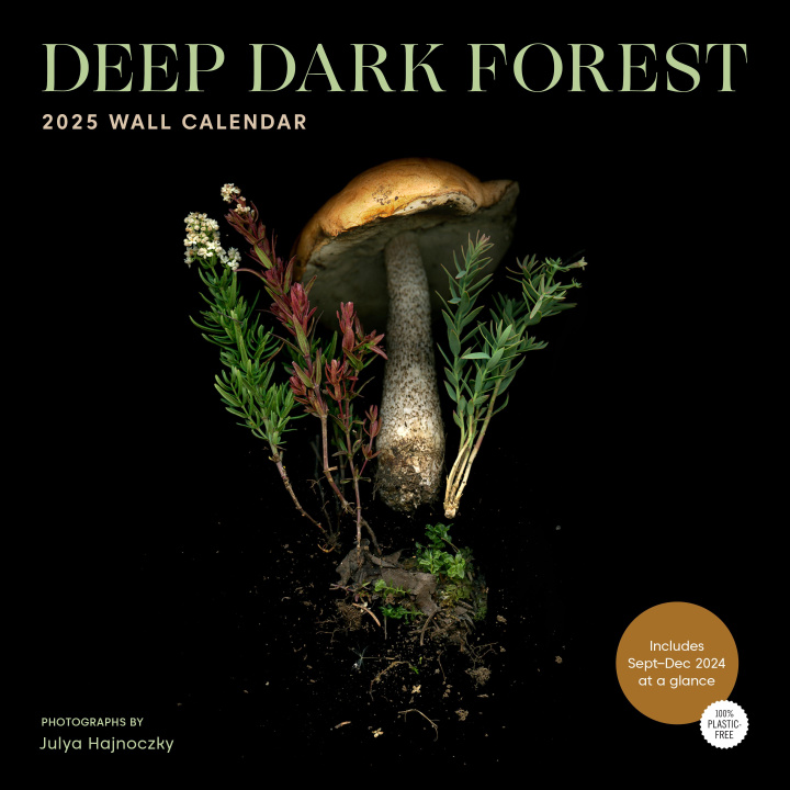 Naptár/Határidőnapló CAL 25 DEEP DARK FOREST WALL CALENDAR WALL