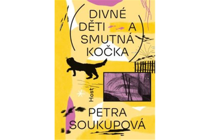 Book Divné děti a smutná kočka Petra Soukupová