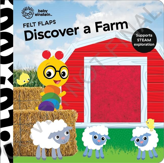 Buch Baby Einstein: Discover a Farm Felt Flaps 