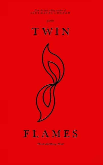 Kniha Twin Flames 