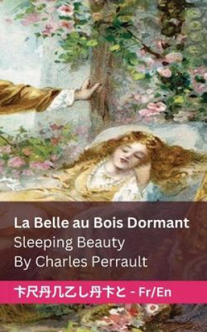 Książka La Belle au Bois Dormant / Sleeping Beauty: Tranzlaty Française English Andrew Lang