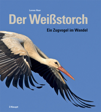 Libro Der Weißstorch Lorenz Heer