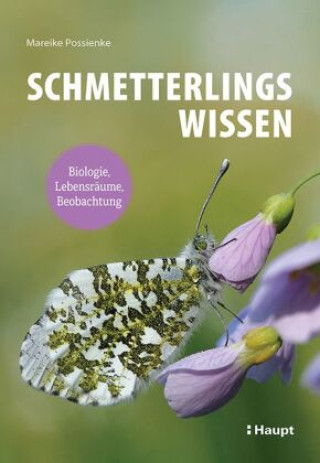 Könyv Schmetterlingswissen 
