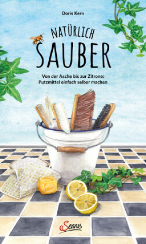 Buch Natürlich sauber Doris Kern
