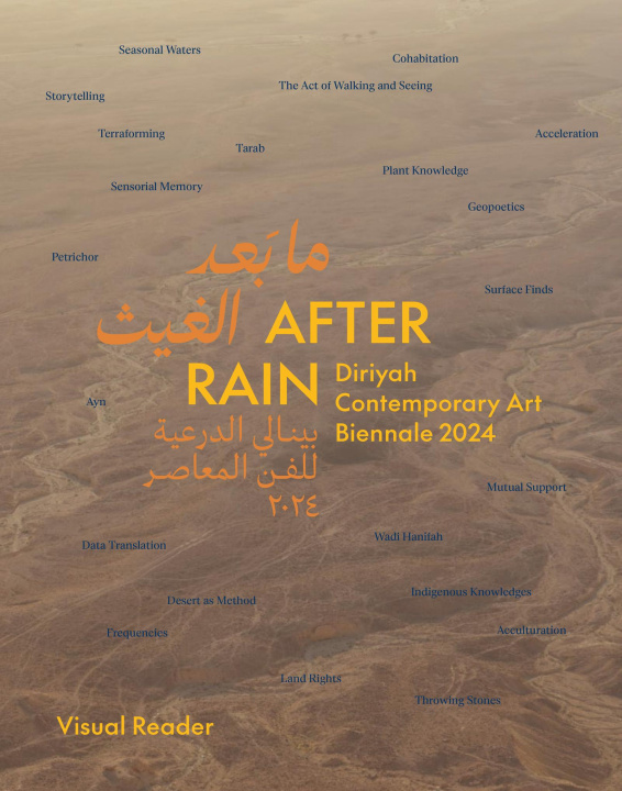 Knjiga After Rain RUJOIU ANCA/DAVID CA
