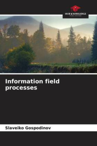 Knjiga Information field processes Slaveiko Gospodinov