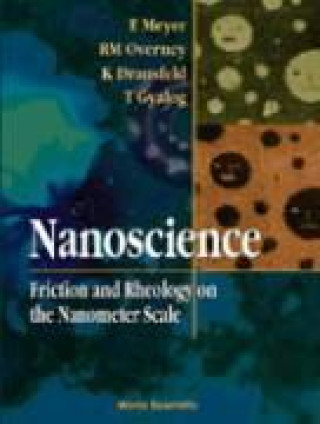 Knjiga Nanoscience R M Overney