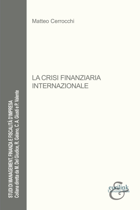 Kniha crisi finanziaria internazionale Matteo Cerrocchi