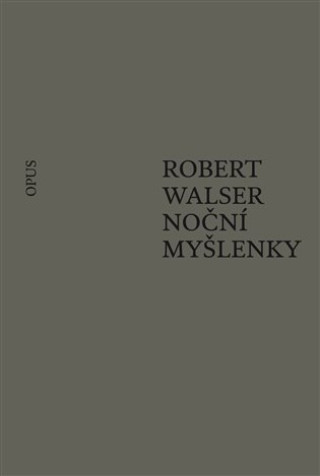 Kniha Noční myšlenky Robert Walser