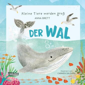 Kniha Kleine Tiere werden groß - Der Wal Carmen Salda?a