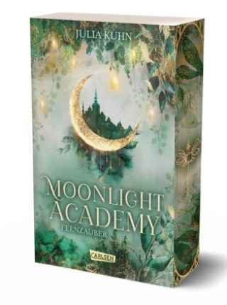 Book Moonlight Academy. Feenzauber 