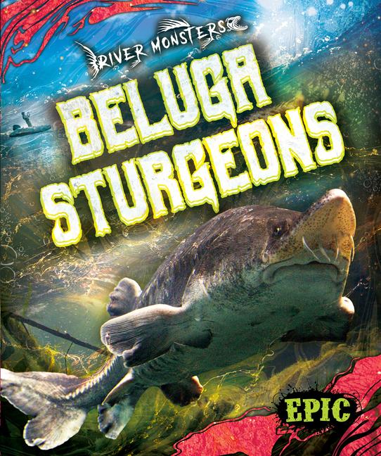 Knjiga Beluga Sturgeons 