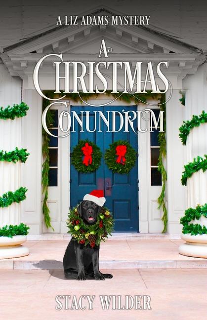 Kniha A Christmas Conundrum Stacy Wilder