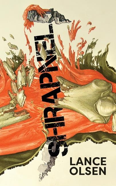 Book Shrapnel: Contemplations Lance Olsen