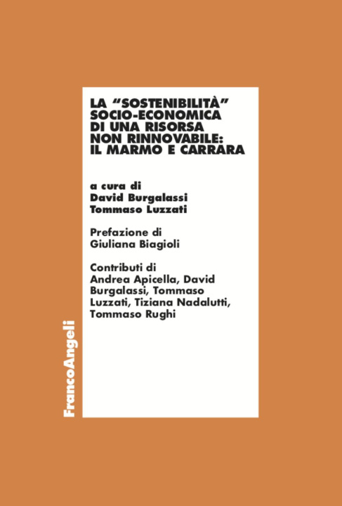 Книга «sostenibilità» socio-economica di una risorsa non rinnovabile: il marmo e Carrara 