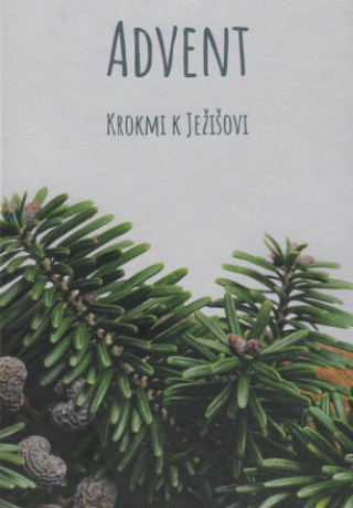 Carte Advent – Krokmi k Ježišovi Anna Berthotyová