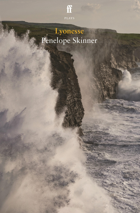 Buch Lyonesse Penelope Skinner