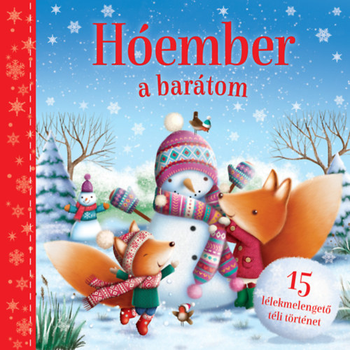 Boek Hóember a barátom 