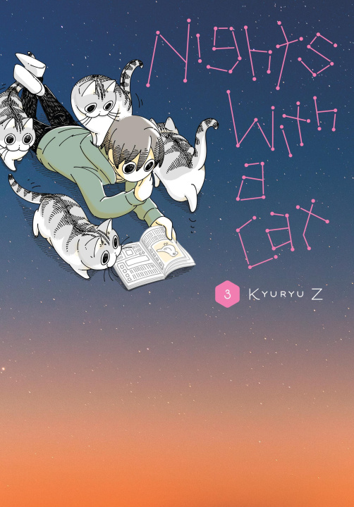 Book NIGHTS WITH A CAT V03 V03